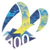 100-летие Мурманска