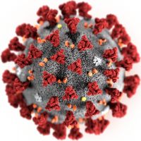 Коронавирус SARS-CoV-2